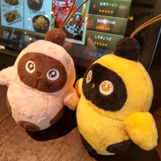 �f���J�Ζ��ŏI���B